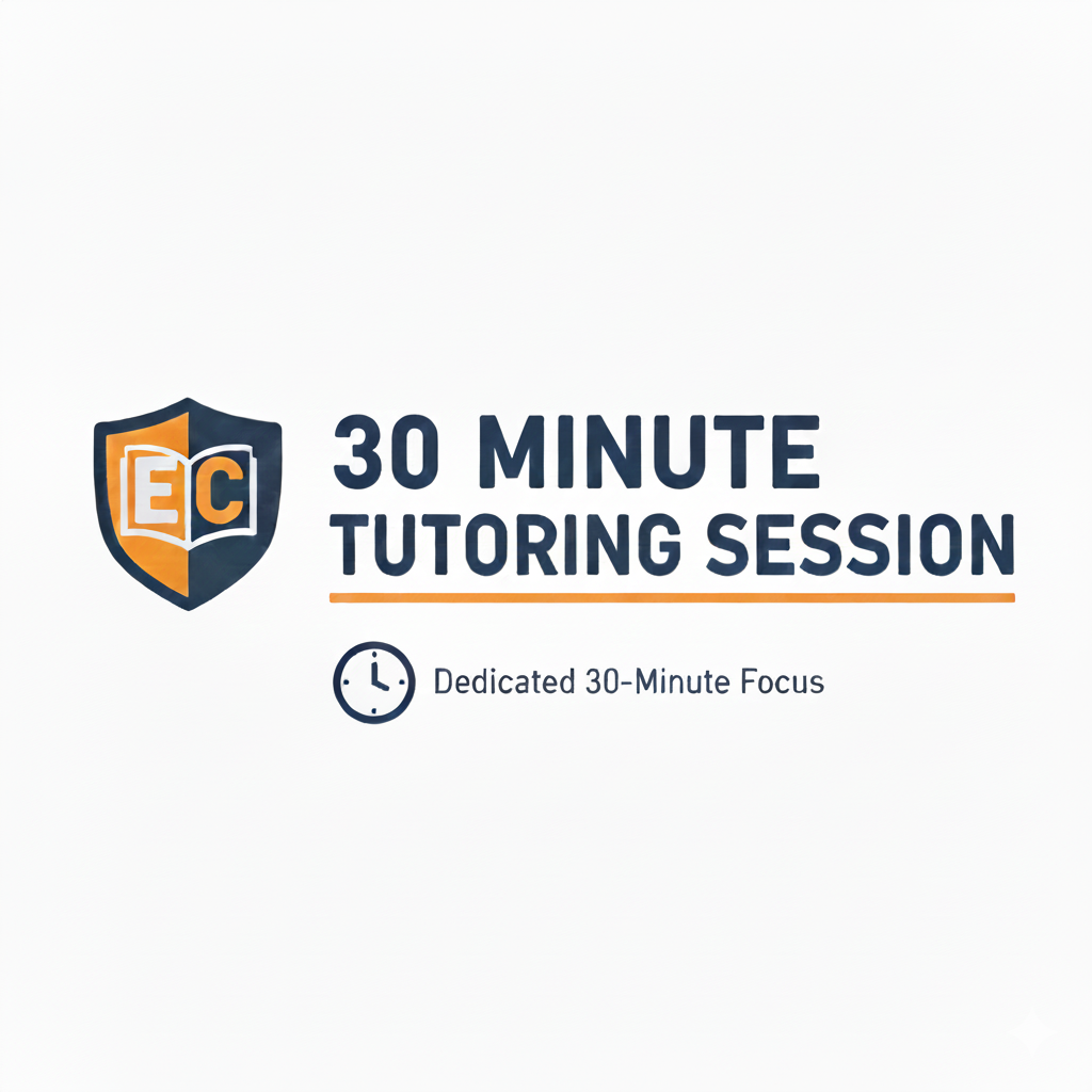 Tutoring Session (30 Minutes)
